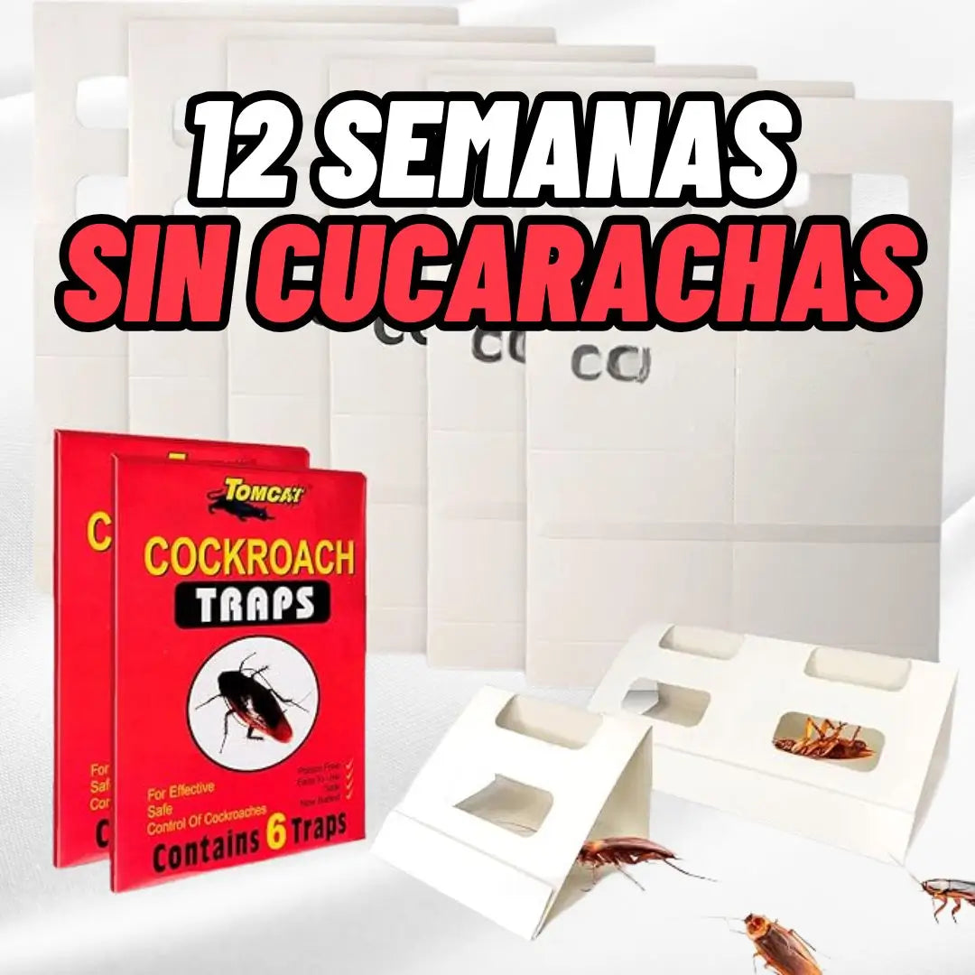 BugTrap®: 12 Semanas Sin Cucarachas